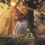 thumb_1433 (Medium).jpg